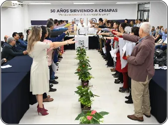  INTEGRACIÓN DE LOS GRUPOS DE TRABAJO INTER Y MULTIDISCIPLINARES